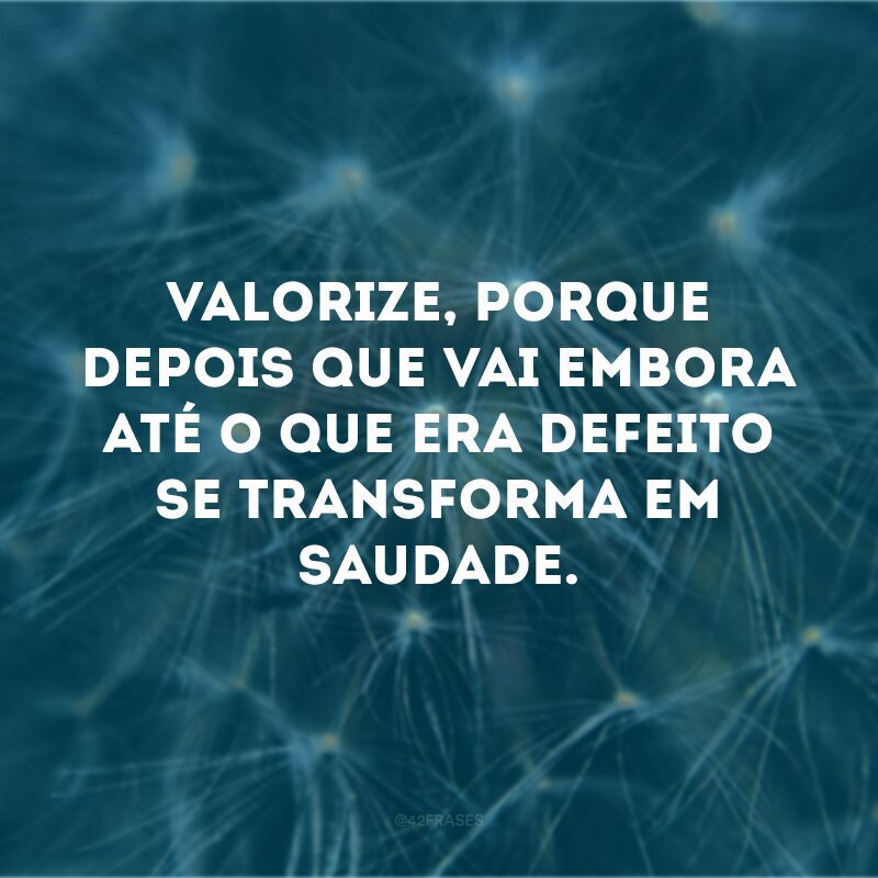 Valorize, porque depois que vai embora até o que era defeito se transforma em saudade. 