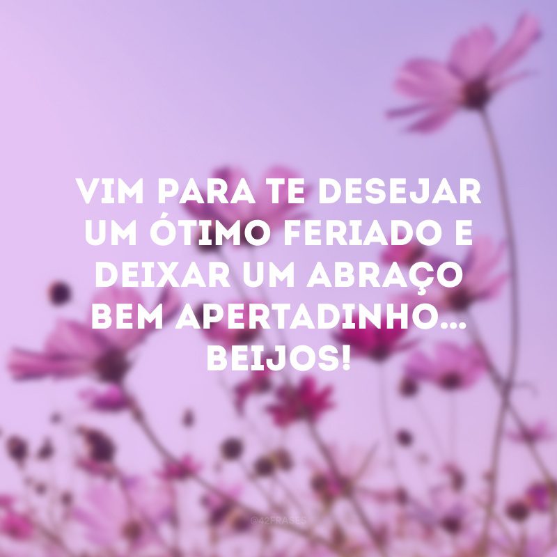 Vim para te desejar um ótimo feriado e deixar um abraço bem apertadinho… Beijos!