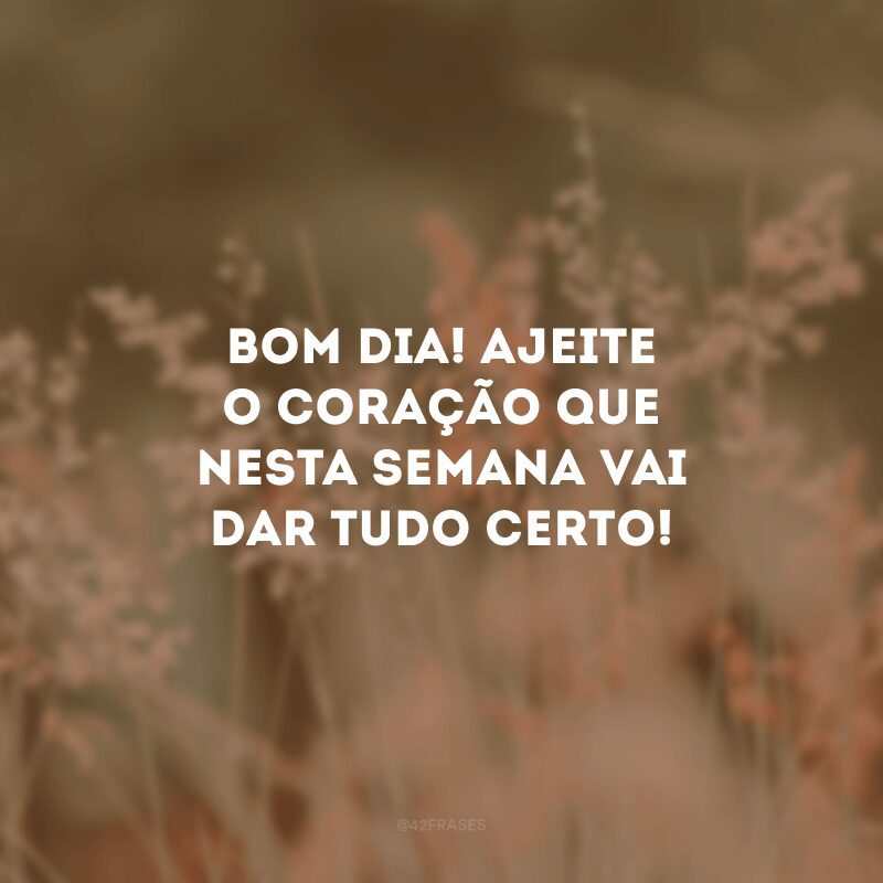 Bom dia! Ajeite o coração que nesta semana vai dar tudo certo!