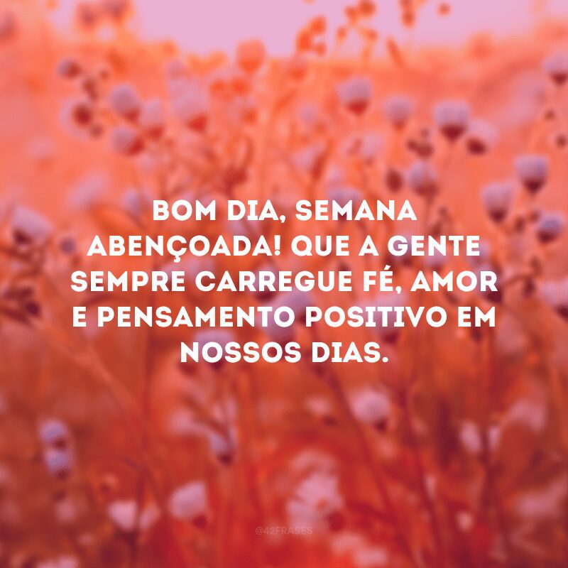 Bom dia, semana abençoada! Que a gente sempre carregue fé, amor e pensamento positivo em nossos dias. 