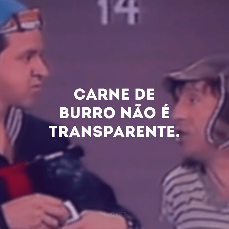 Carne de burro não é transparente.