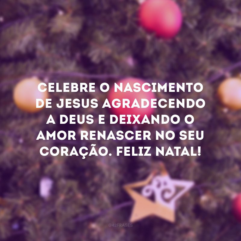 Celebre o nascimento de Jesus agradecendo a Deus e deixando o amor renascer no seu coração. Feliz Natal!