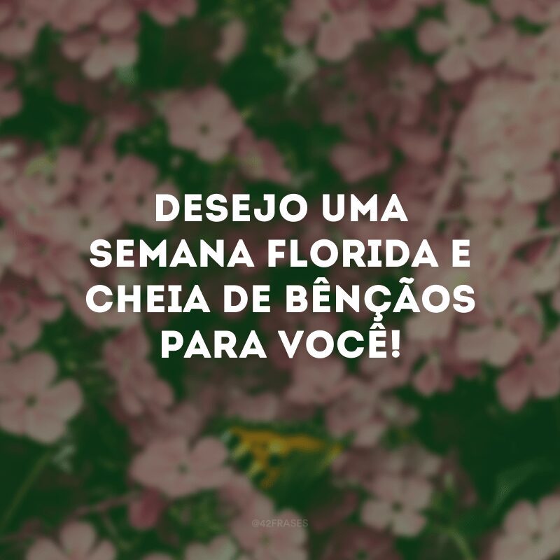 Desejo uma semana florida e cheia de bênçãos para você! 