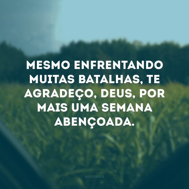 Mesmo enfrentando muitas batalhas, te agradeço, Deus, por mais uma semana abençoada. 