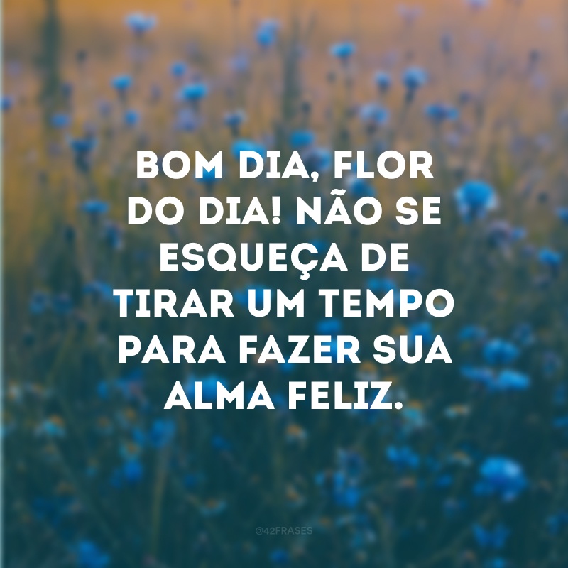 Bom dia, flor do dia! Não se esqueça de tirar um tempo para fazer sua alma feliz. 