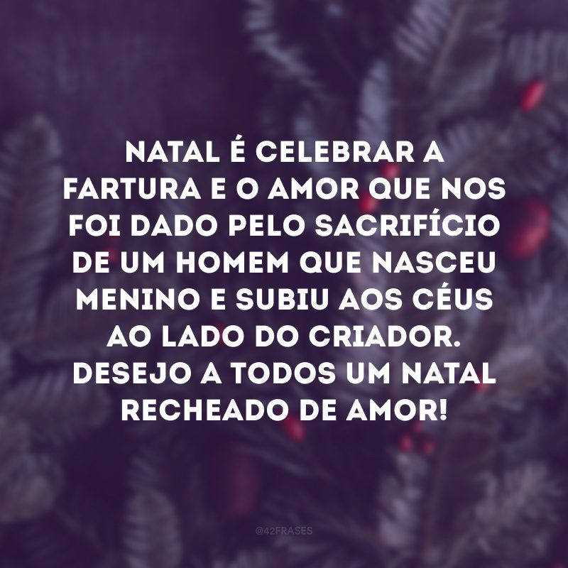 Natal é celebrar a fartura e o amor que nos foi dado pelo sacrifício de um homem que nasceu menino e subiu aos céus ao lado do criador. Desejo a todos um Natal recheado de amor!