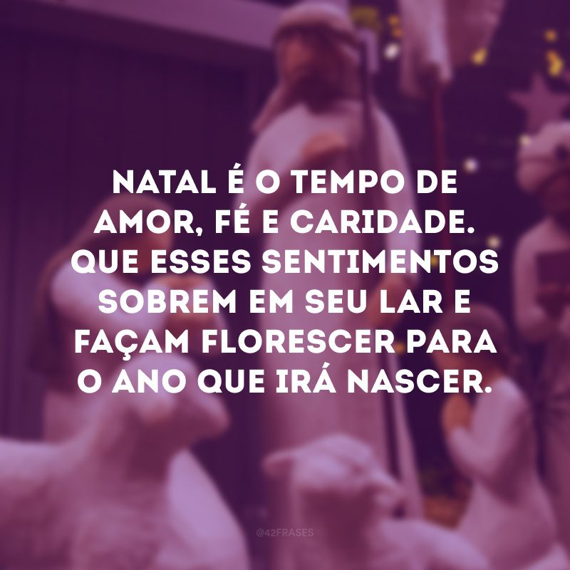 Natal é o tempo de amor, fé e caridade. Que esses sentimentos sobrem em seu lar e façam florescer para o ano que irá nascer.