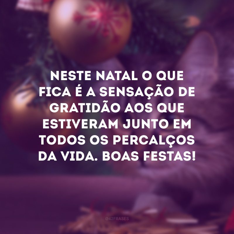 Neste Natal o que fica é a sensação de gratidão aos que estiveram junto em todos os percalços da vida. Boas Festas!