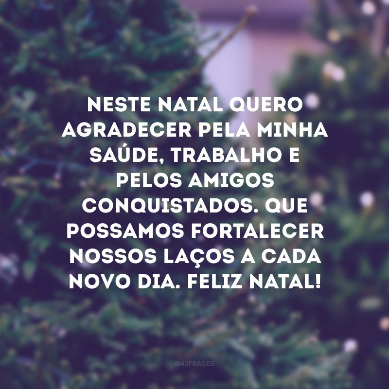 Neste Natal quero agradecer pela minha saúde, trabalho e pelos amigos conquistados. Que possamos fortalecer nossos laços a cada novo dia. Feliz Natal!