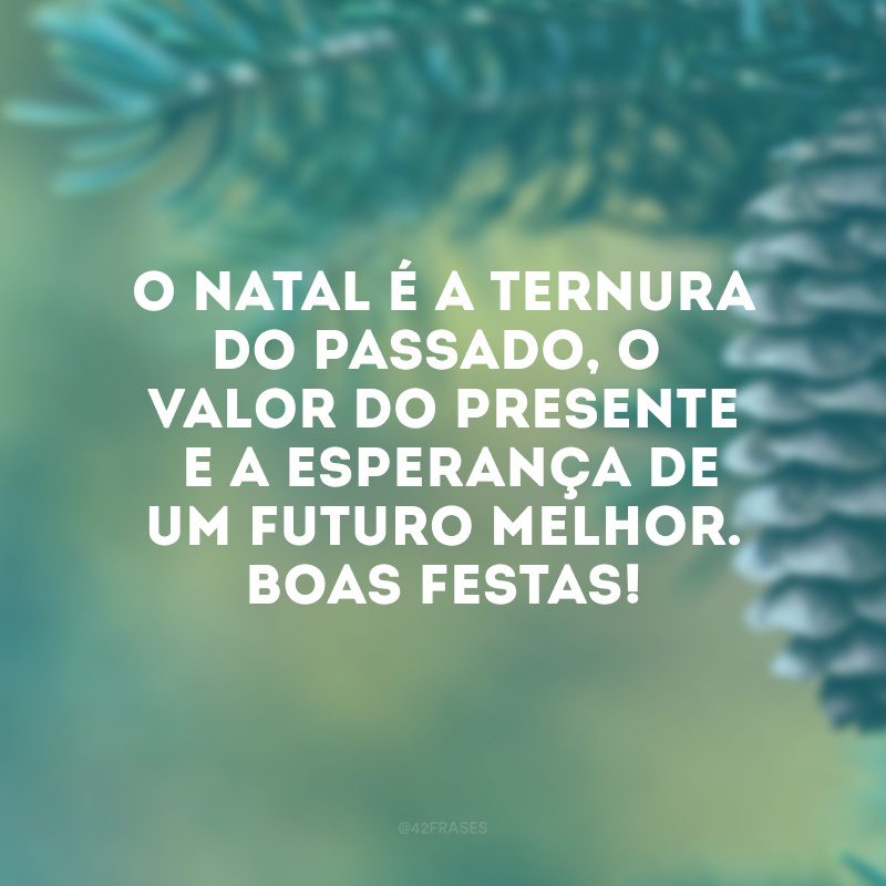 O Natal é a ternura do passado, o valor do presente e a esperança de um futuro melhor. Boas Festas!