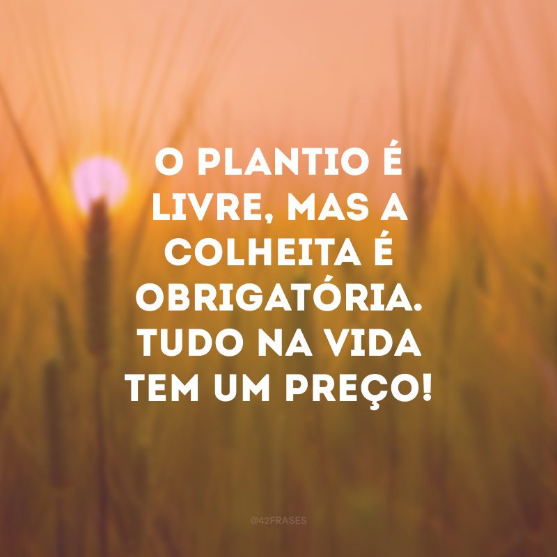 O plantio é livre, mas a colheita é obrigatória. Tudo na vida tem um preço!