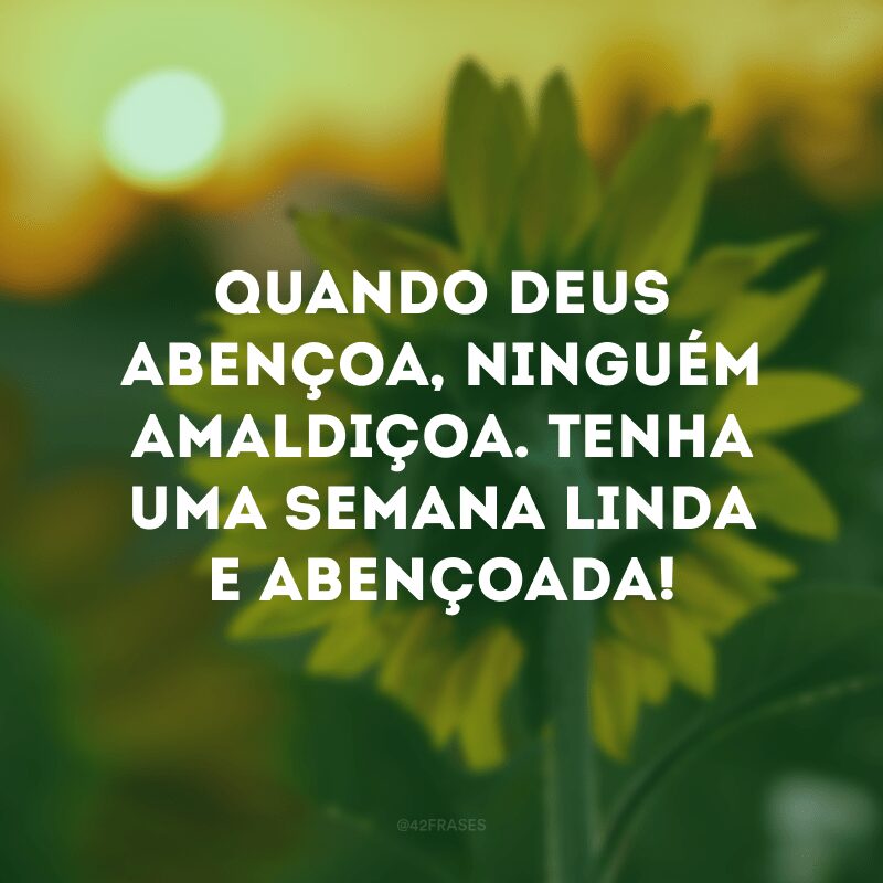 Quando Deus abençoa, ninguém amaldiçoa. Tenha uma semana linda e abençoada! 