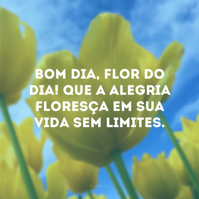 Bom dia, flor do dia! Que a alegria floresça em sua vida sem limites. 