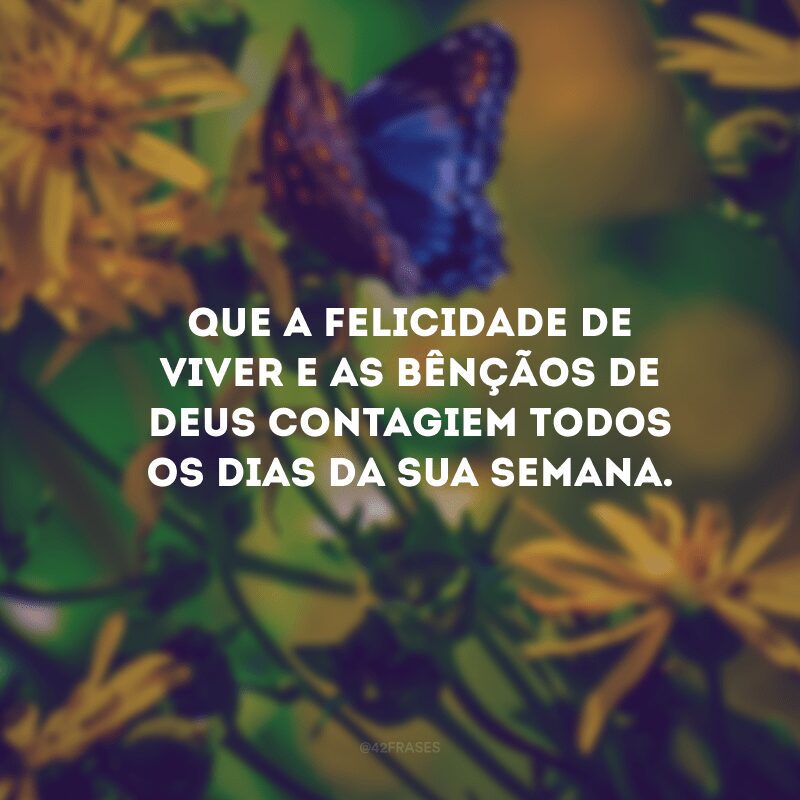 Que a felicidade de viver e as bênçãos de Deus contagiem todos os dias da sua semana. 