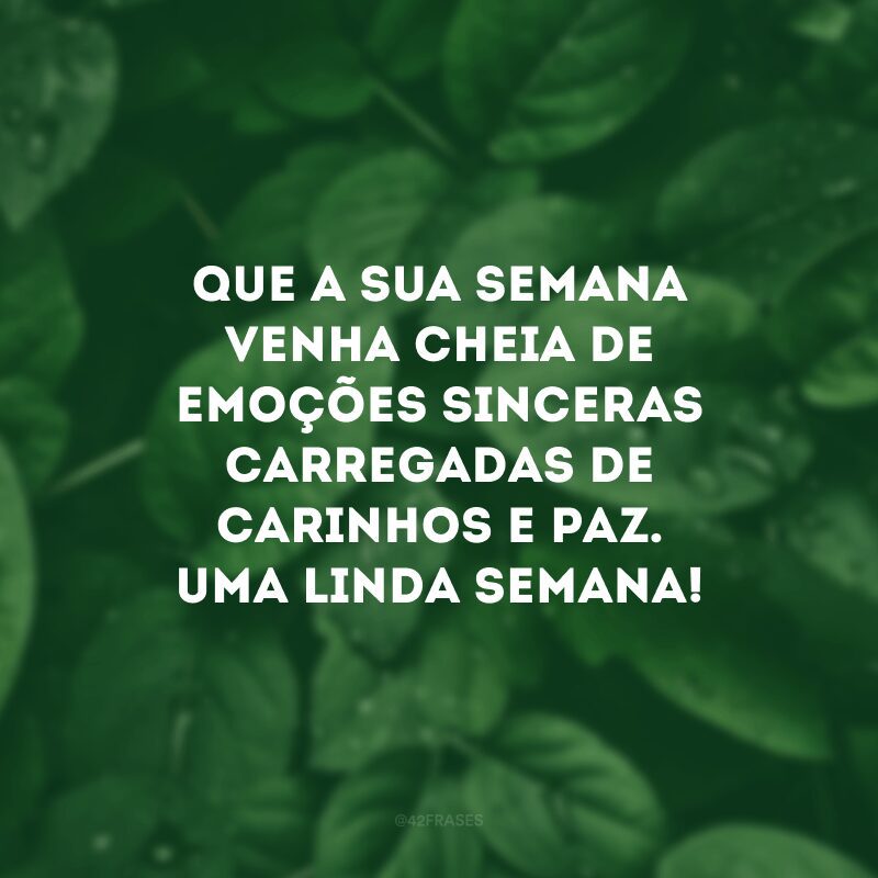 Que a sua semana venha cheia de emoções sinceras carregadas de carinhos e paz. Uma linda semana!