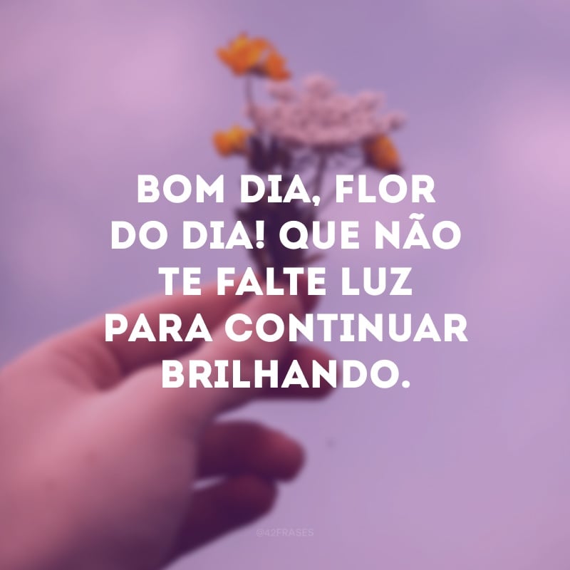 Bom dia, flor do dia! Que não te falte luz para continuar brilhando. 