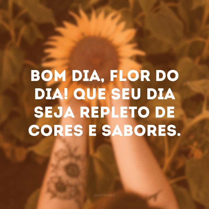 Bom dia, flor do dia! Que seu dia seja repleto de cores e sabores. 