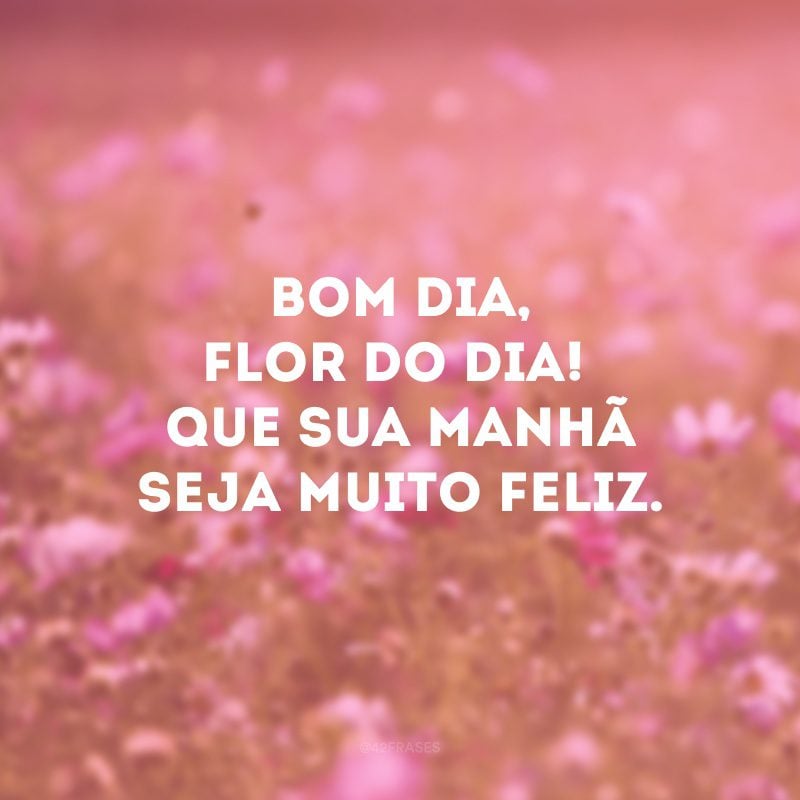 Bom dia, flor do dia! Que sua manhã seja muito feliz. 