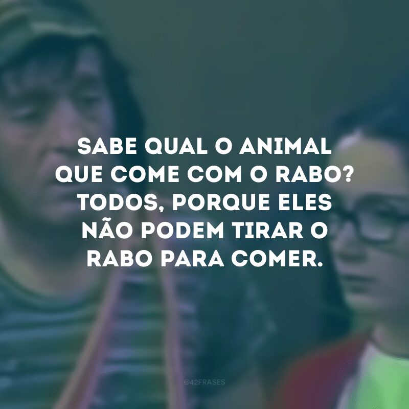 Sabe qual o animal que come com o rabo? Todos, porque eles não podem tirar o rabo para comer.