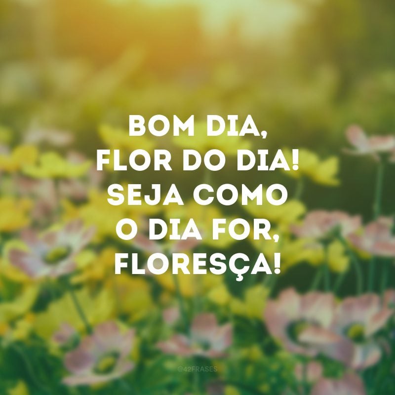 Bom dia, flor do dia! Seja como o dia for, floresça! 