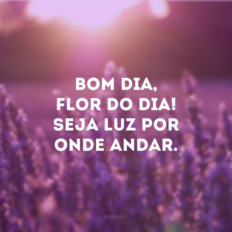 40 frases de bom dia flor do dia para regar sua manhã com boas energias