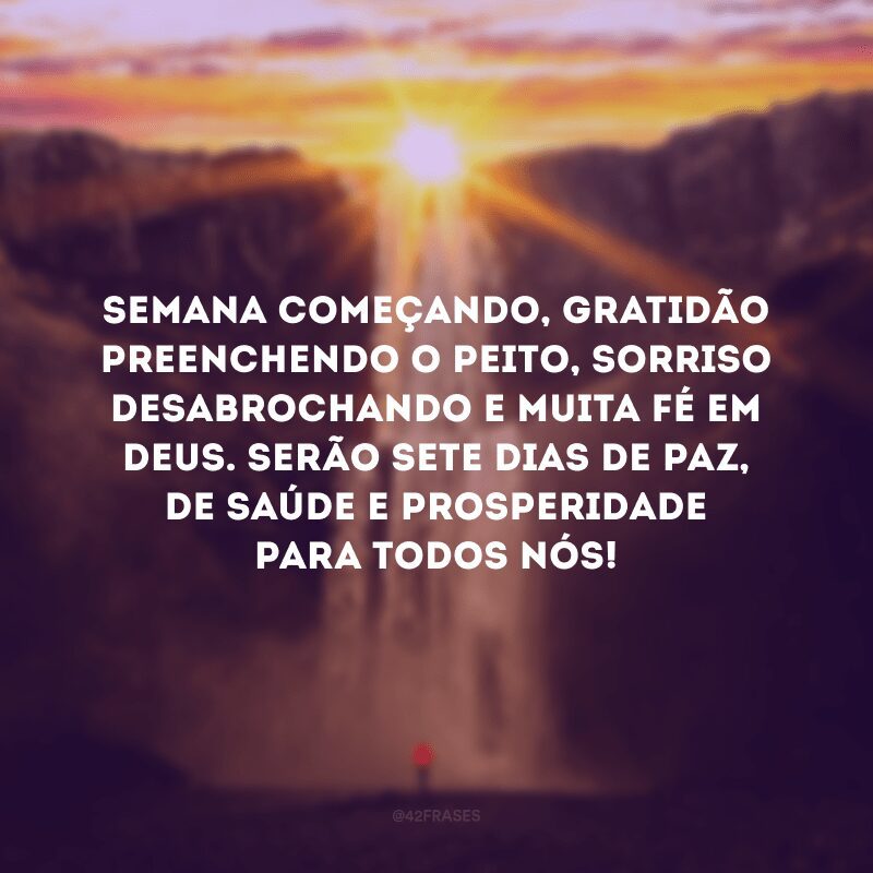 Semana começando, gratidão preenchendo o peito, sorriso desabrochando e muita fé em Deus. Serão sete dias de paz, de saúde e prosperidade para todos nós!