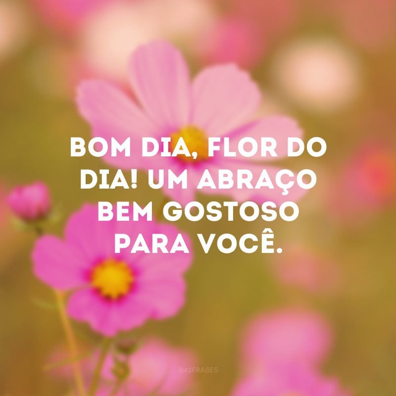 Bom dia, flor do dia! Um abraço bem gostoso para você. 