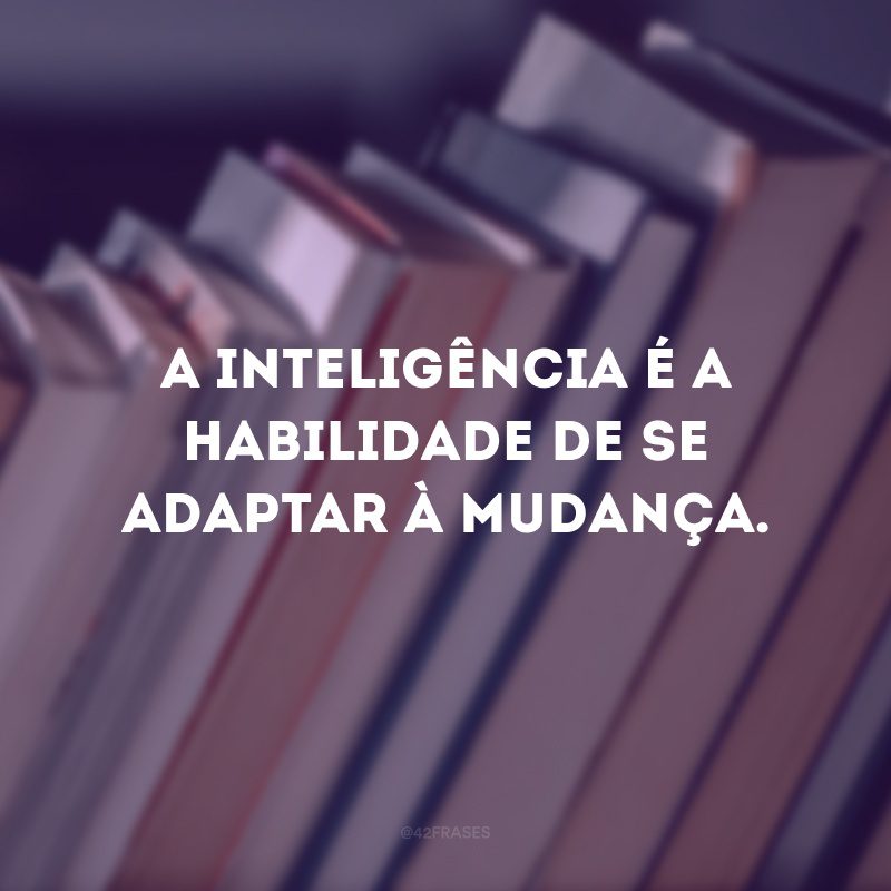 A inteligência é a habilidade de se adaptar à mudança.