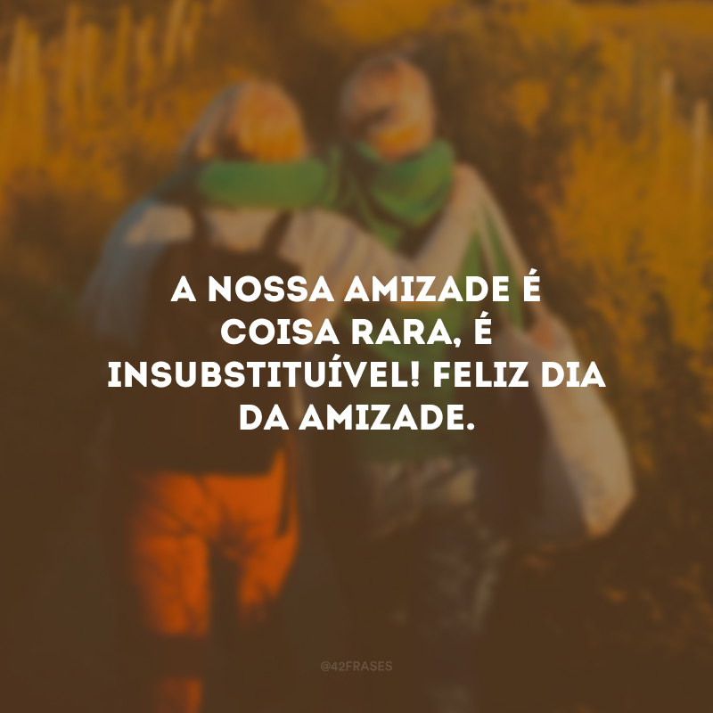 A nossa amizade é coisa rara, é insubstituível! Feliz Dia da Amizade.