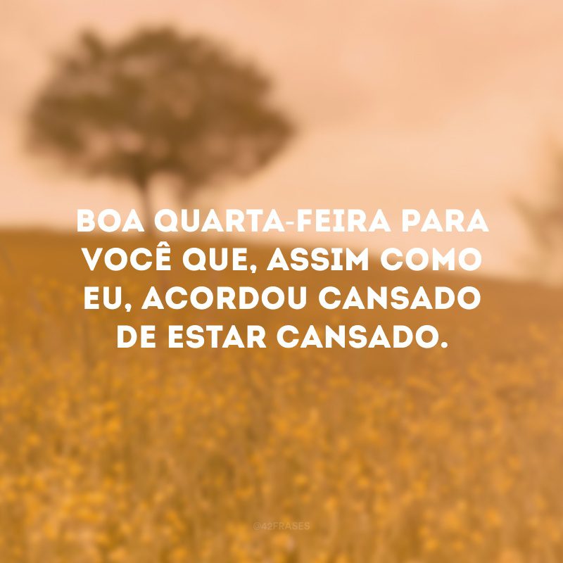 Boa quarta-feira para você que, assim como eu, acordou cansado de estar cansado.