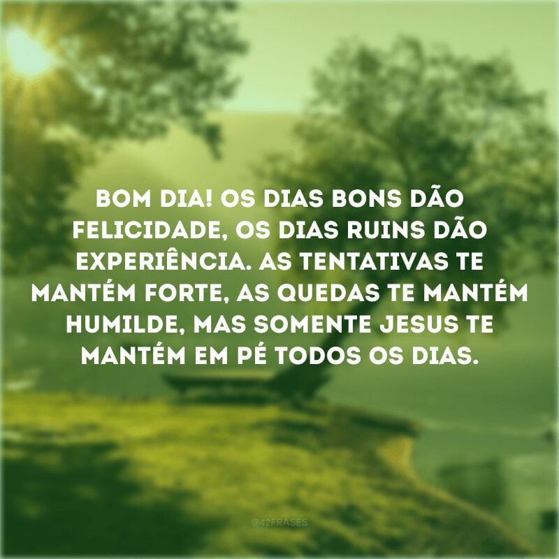 Bom dia! Os dias bons dão felicidade, os dias ruins dão experiência. As tentativas te mantém forte, as quedas te mantém humilde, mas somente Jesus te mantém em pé todos os dias.