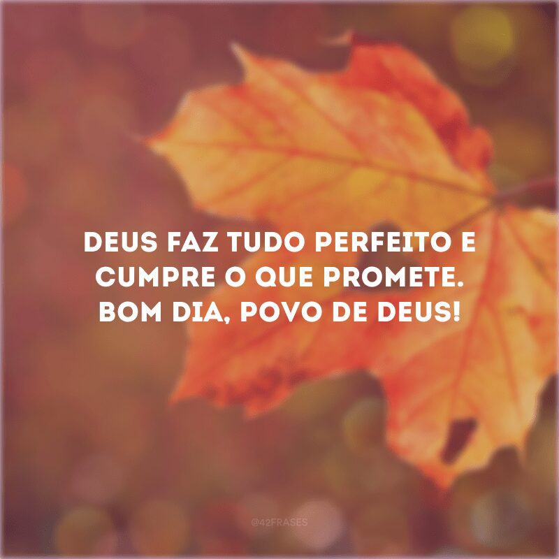 Deus faz tudo perfeito e cumpre o que promete. Bom dia, povo de Deus!