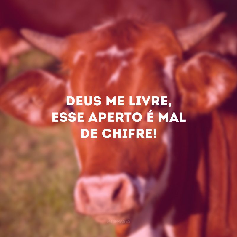 Deus me livre, esse aperto é mal de chifre!