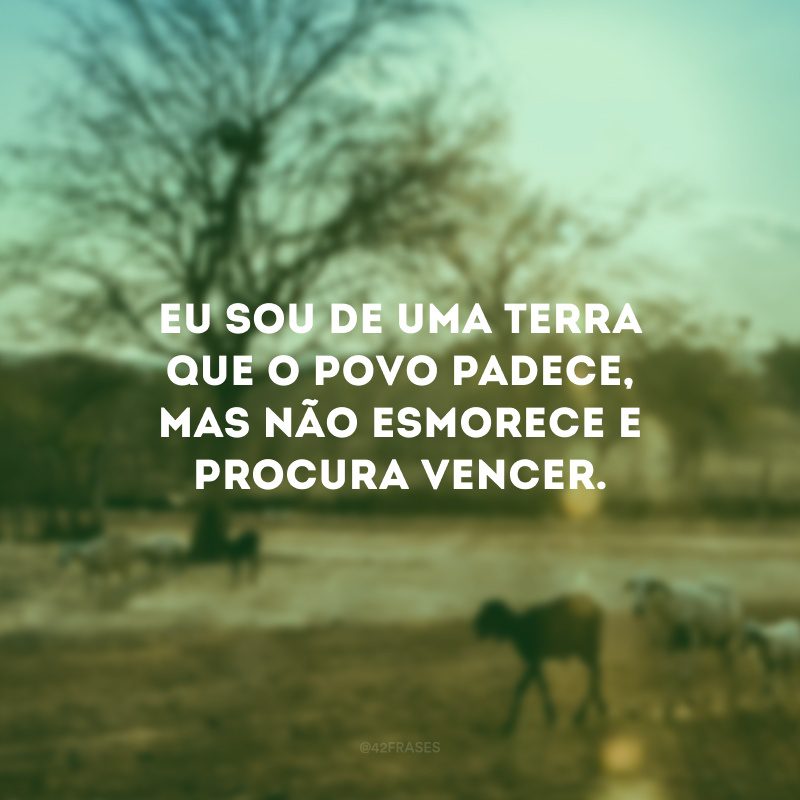 Eu sou de uma terra que o povo padece, mas não esmorece e procura vencer. 