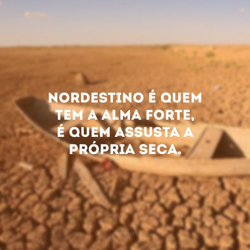 Nordestino é quem tem a alma forte, é quem assusta a própria seca.