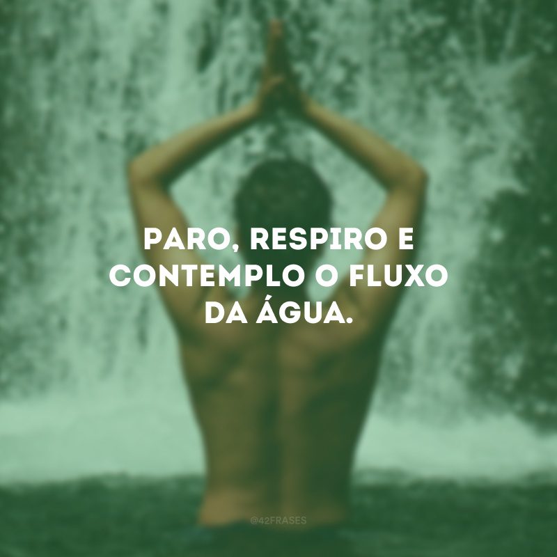 Paro, respiro e contemplo o fluxo da água. 