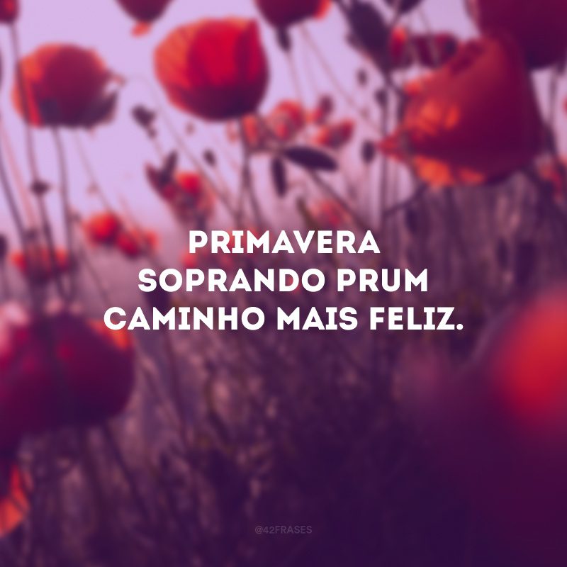 Primavera soprando prum caminho mais feliz.