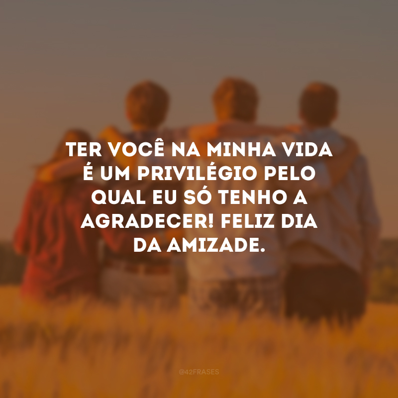 Ter você na minha vida é um privilégio pelo qual eu só tenho a agradecer! Feliz Dia da Amizade.