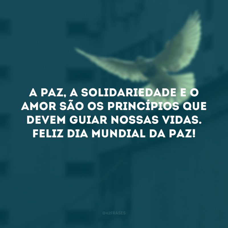 A paz, a solidariedade e o amor são os princípios que devem guiar nossas vidas. Feliz Dia Mundial da Paz! 