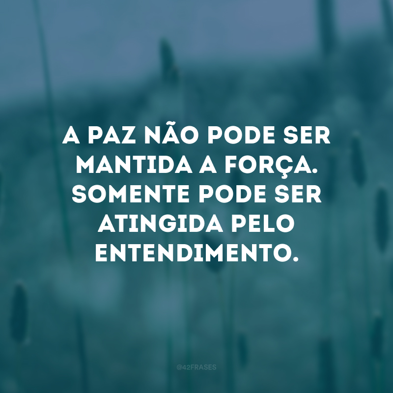 A paz não pode ser mantida a força. Somente pode ser atingida pelo entendimento. 