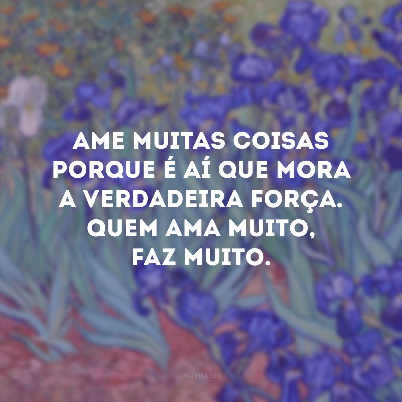 Ame muitas coisas porque é aí que mora a verdadeira força. Quem ama muito, faz muito. 