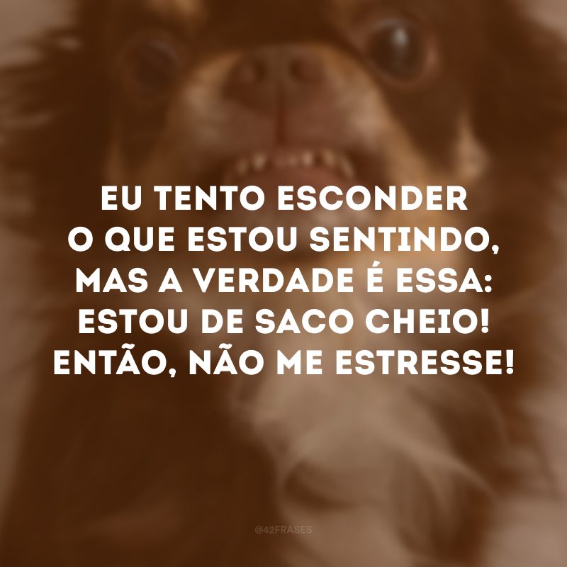 Eu tento esconder o que estou sentindo, mas a verdade é essa: estou de saco cheio! Então, não me estresse! 