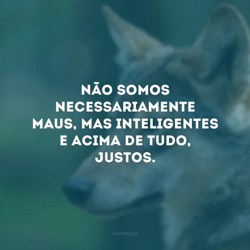 Não somos necessariamente maus, mas inteligentes e acima de tudo, justos.