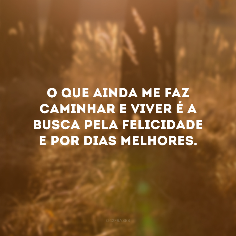 O que ainda me faz caminhar e viver é a busca pela felicidade e por dias melhores.