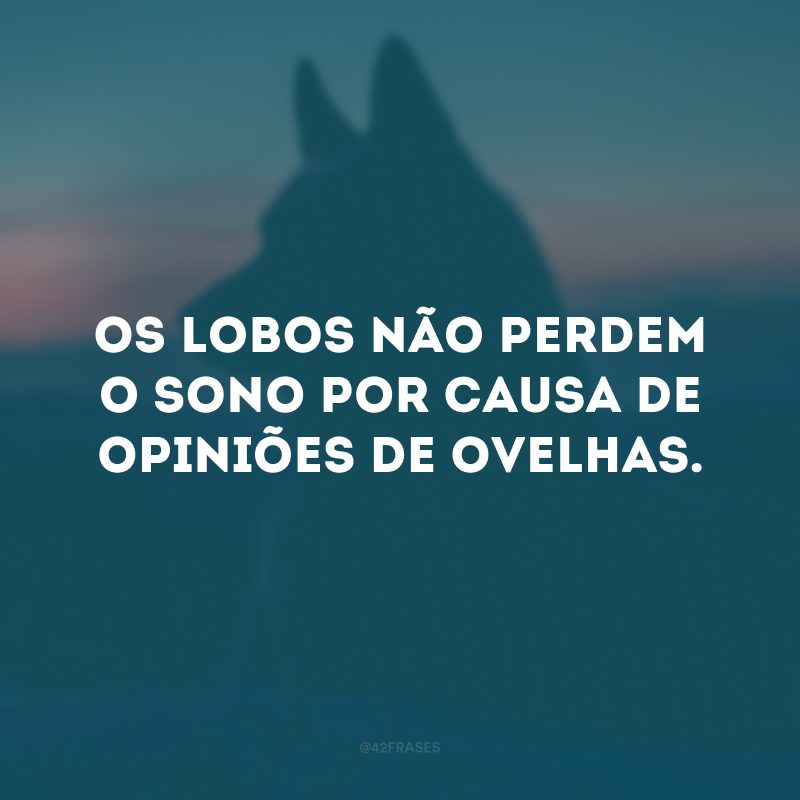 Os lobos não perdem o sono por causa de opiniões de ovelhas. 