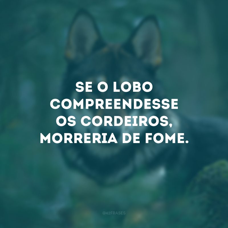 Se o lobo compreendesse os cordeiros, morreria de fome. 