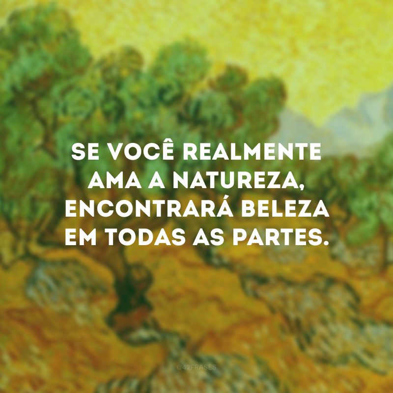 Se você realmente ama a natureza, encontrará beleza em todas as partes.