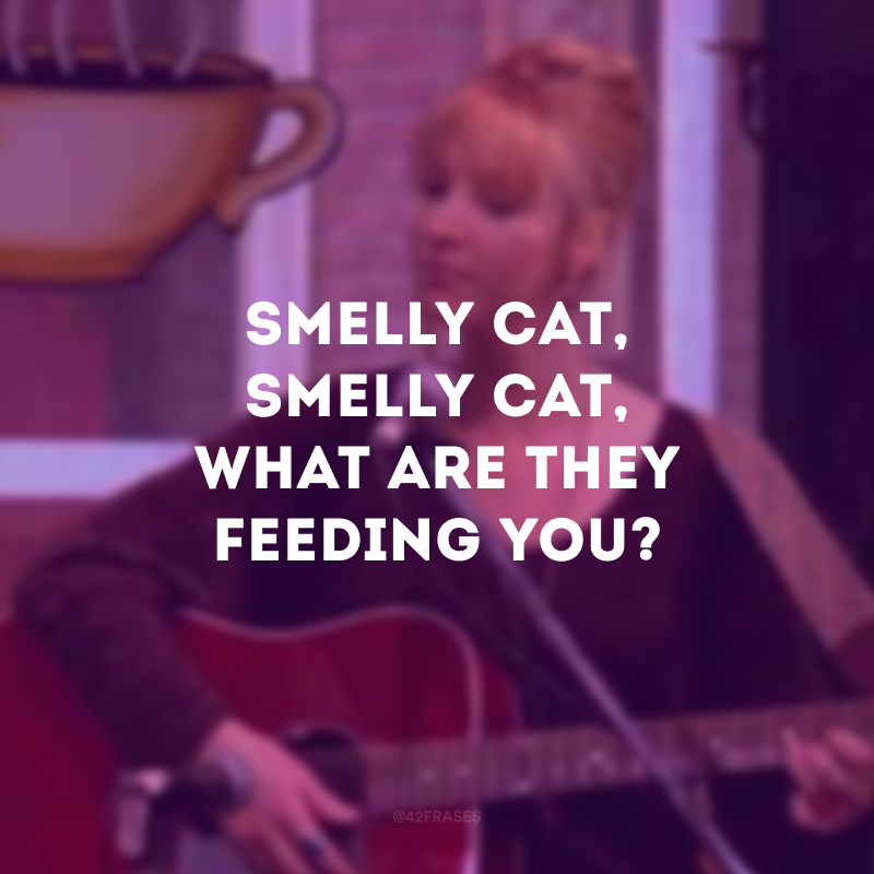 Smelly cat, smelly cat, what are they feeding you?  (Gato fedido, gato fedido, com o que eles estão te alimentando?)