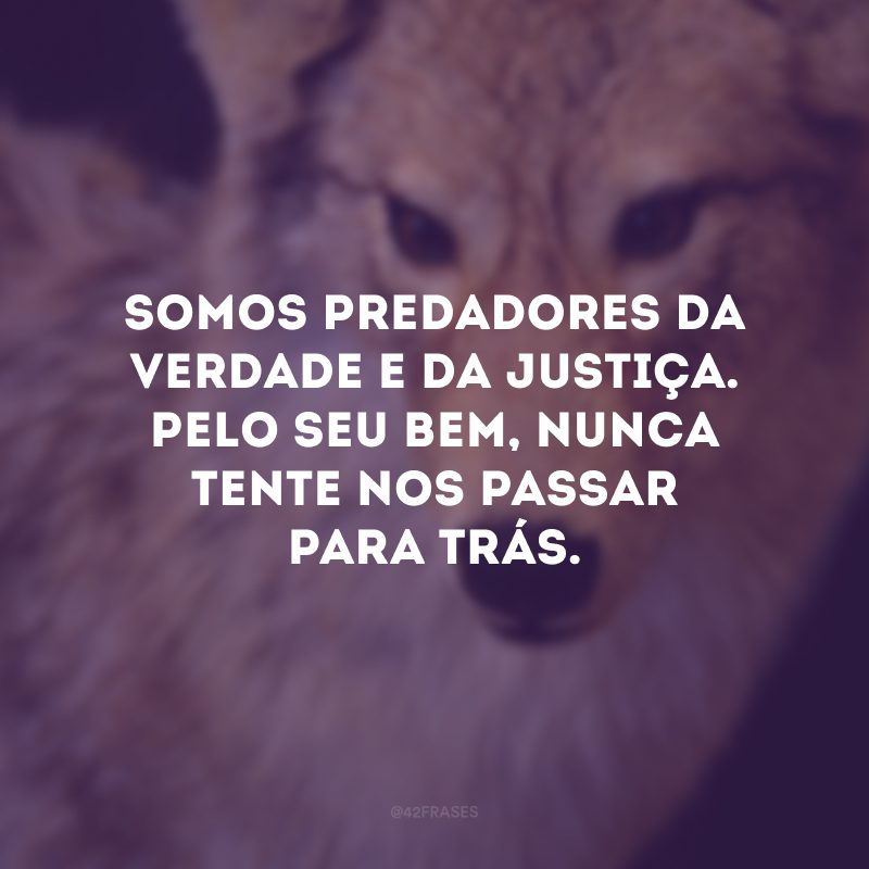 Somos predadores da verdade e da justiça. Pelo seu bem, nunca tente nos passar para trás.