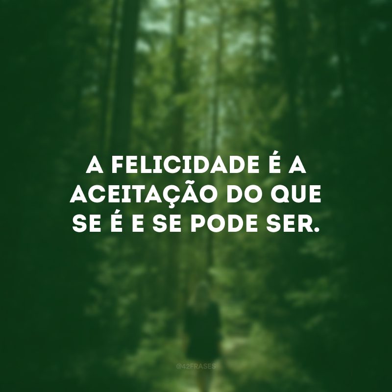 A felicidade é a aceitação do que se é e se pode ser.